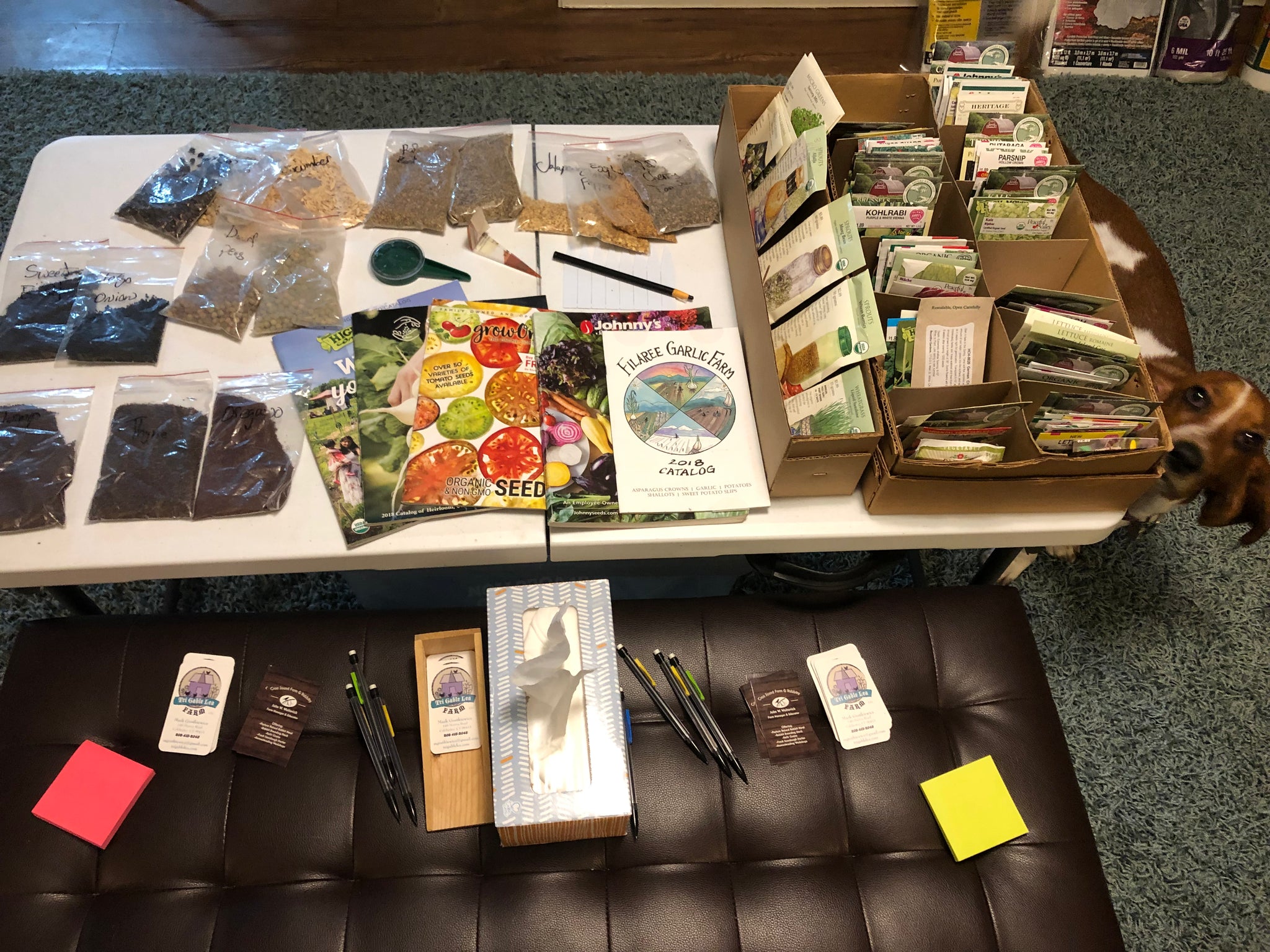 NEW! - The Community Seed Bank: How to Save, Store, and Share Your Harvest