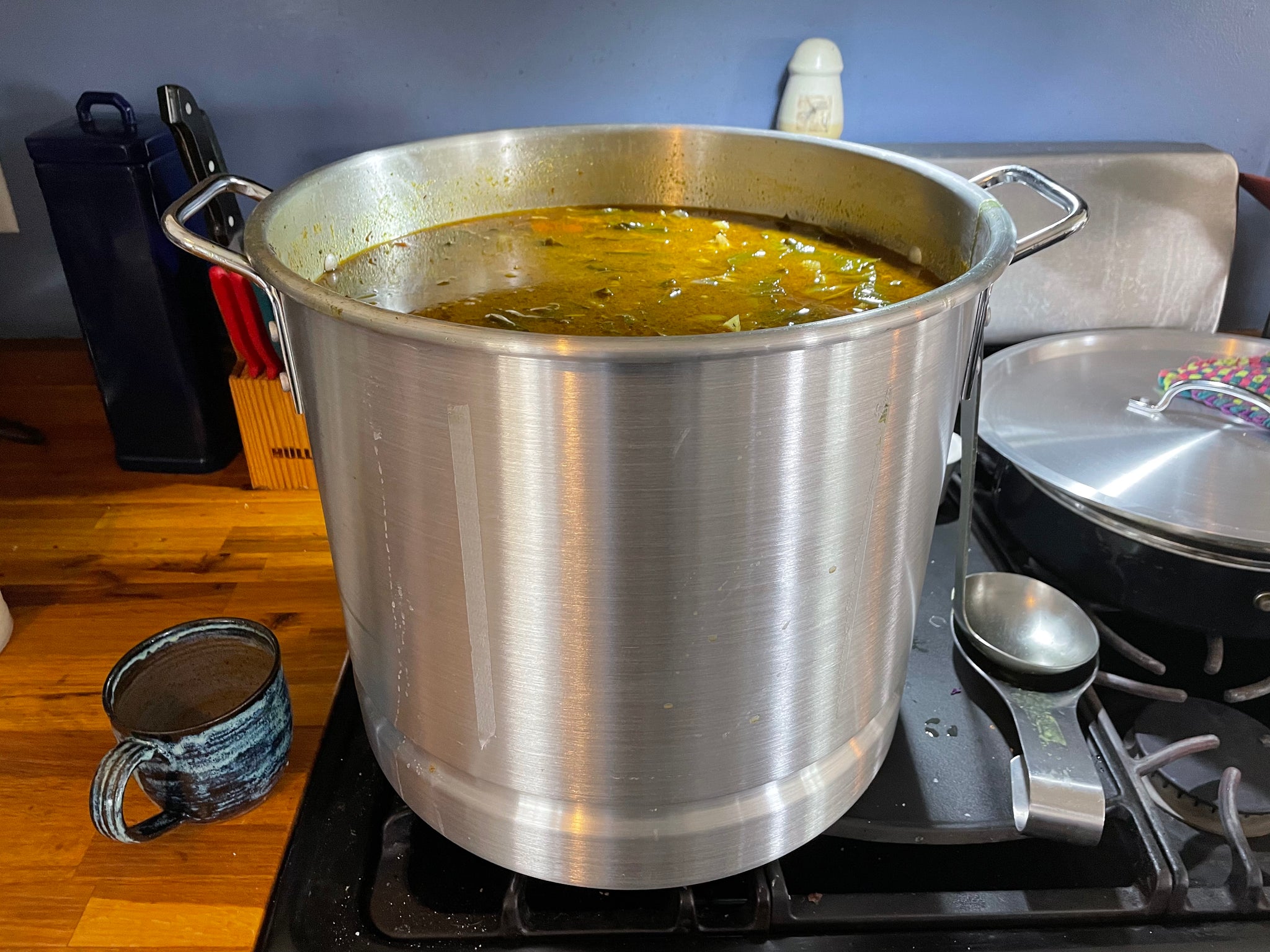 NEW! - Beat the Grocery Bill: Cooking Sales, Scraps, and Bones into Healthy Broths and Soups