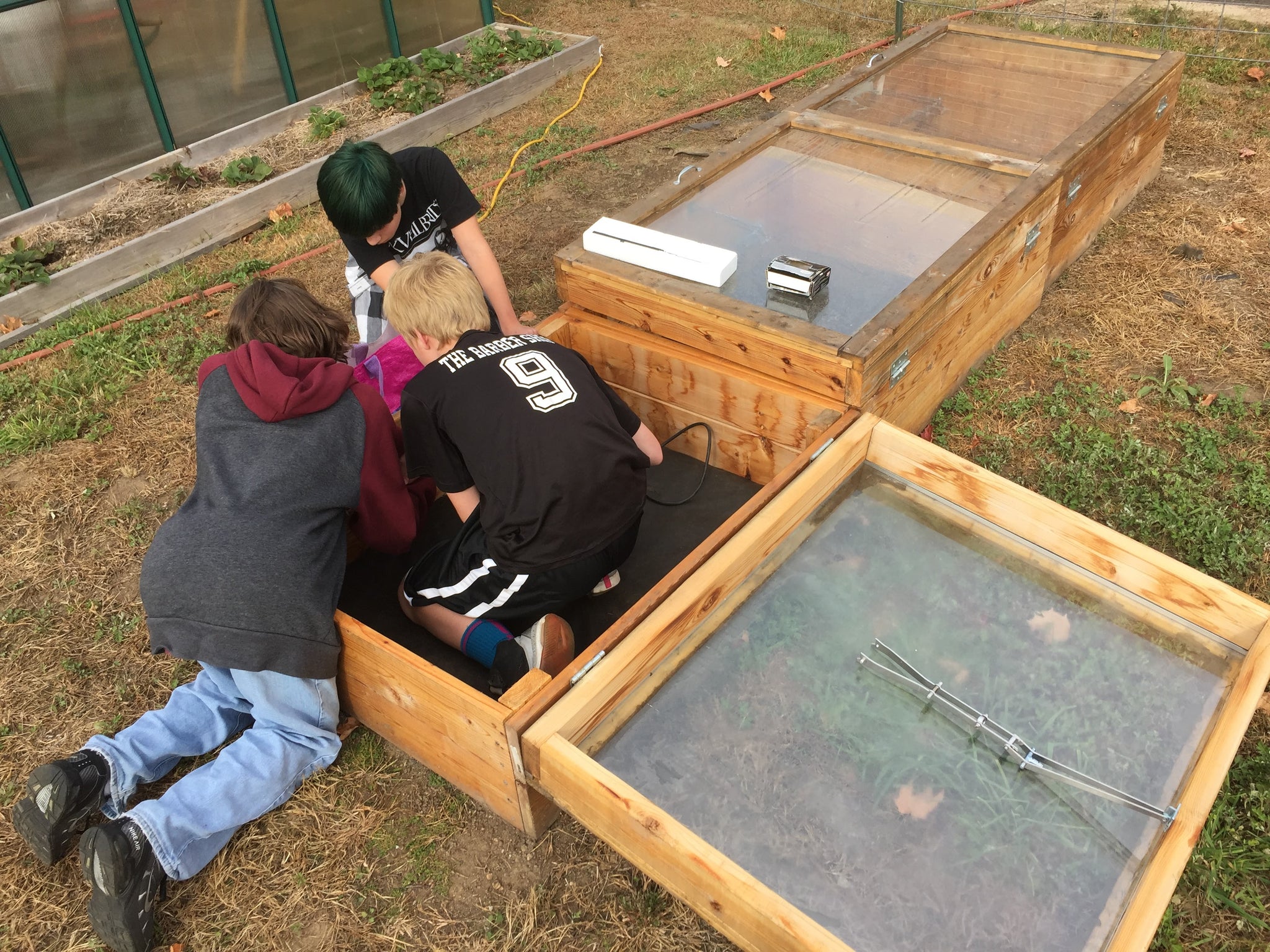 NEW! - Cold Frame Foundations: Build, Sow, and Grow Your Season