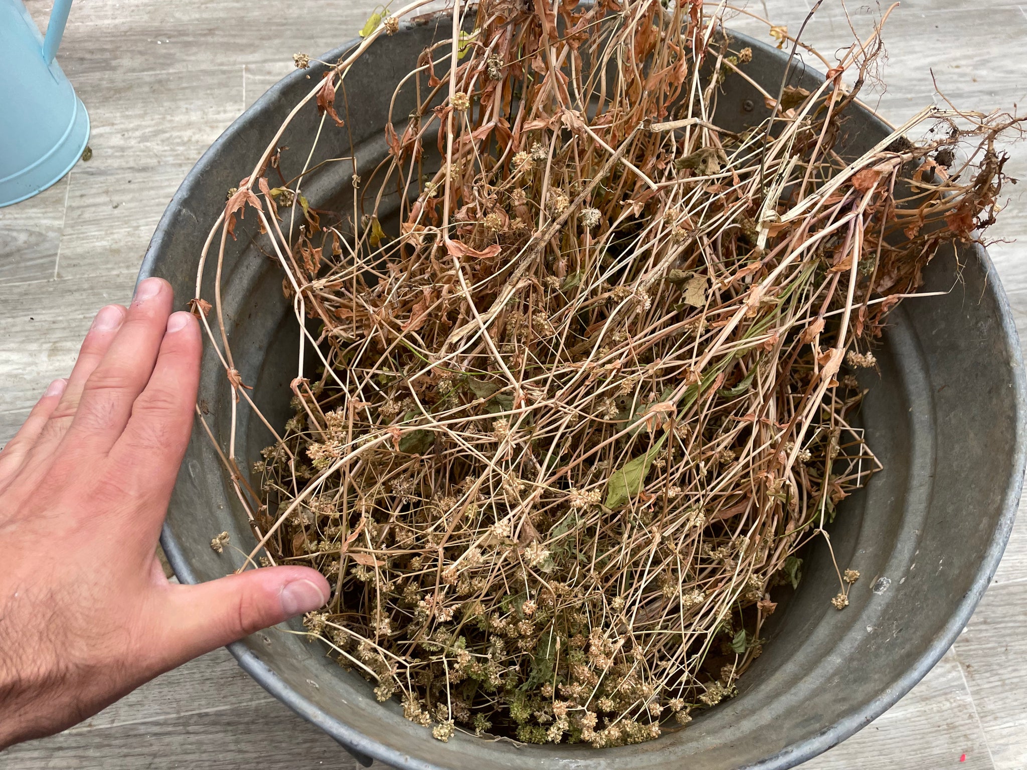 NEW! - The Community Seed Bank: How to Save, Store, and Share Your Harvest