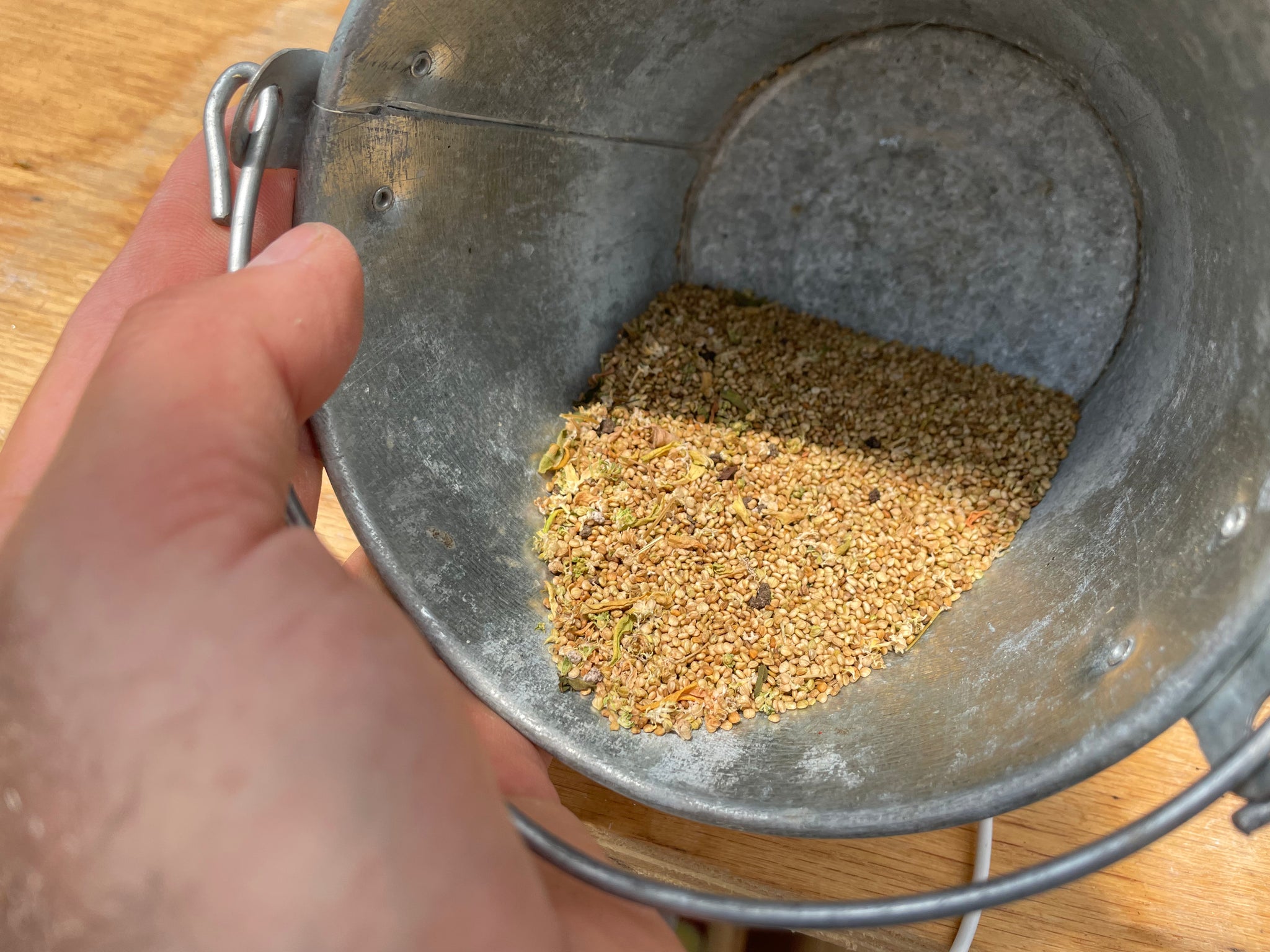 NEW! - The Community Seed Bank: How to Save, Store, and Share Your Harvest