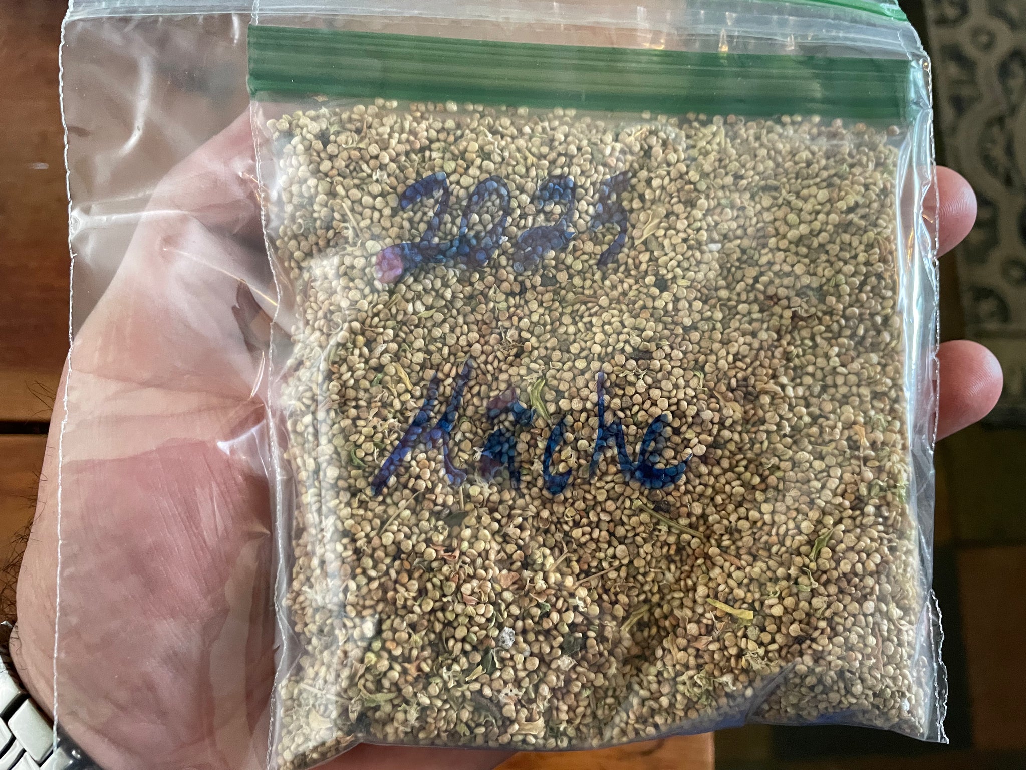 NEW! - The Community Seed Bank: How to Save, Store, and Share Your Harvest