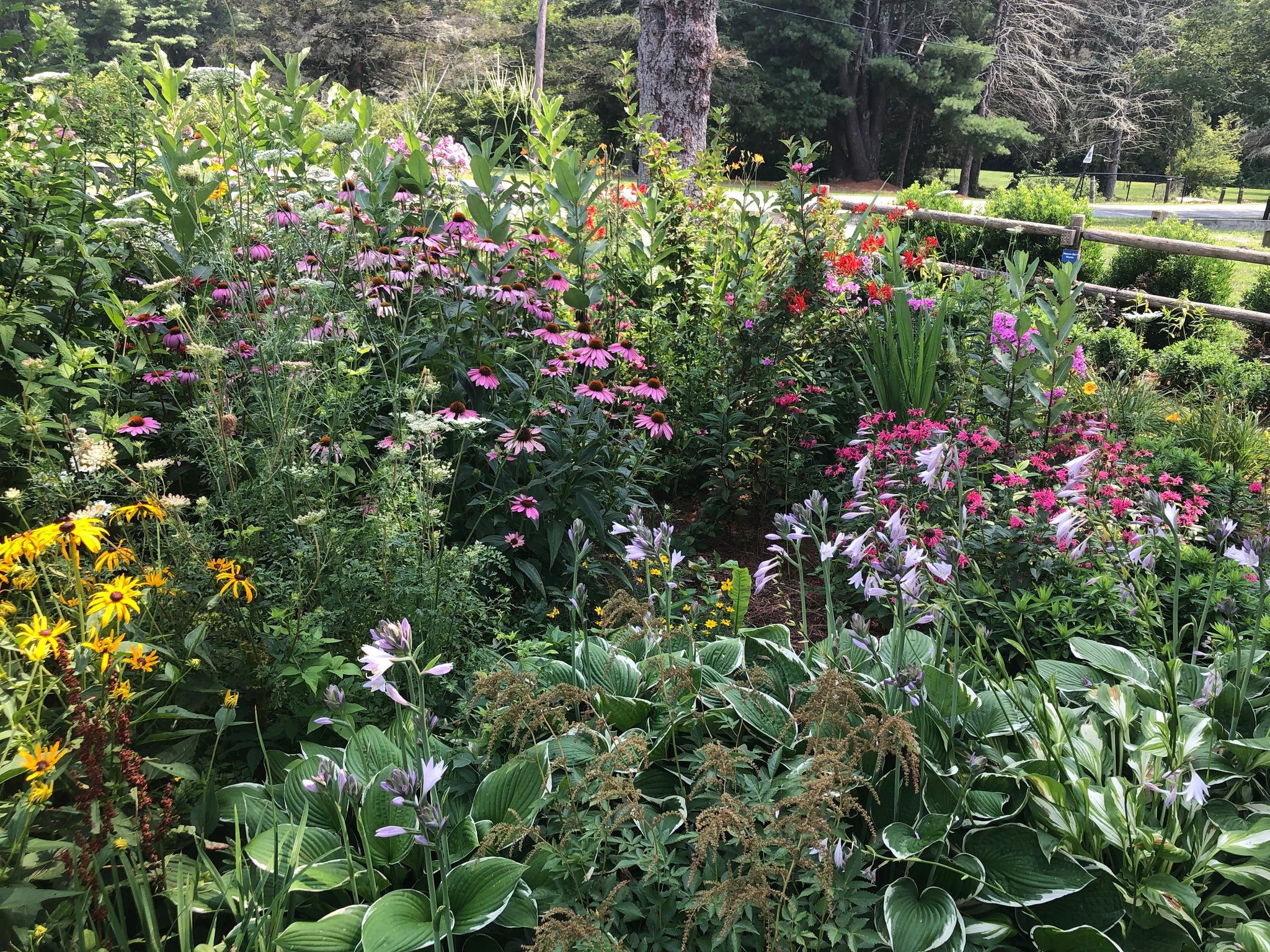 NEW! - The Edible Landscape: Integrating Food into Your Existing Flower Beds