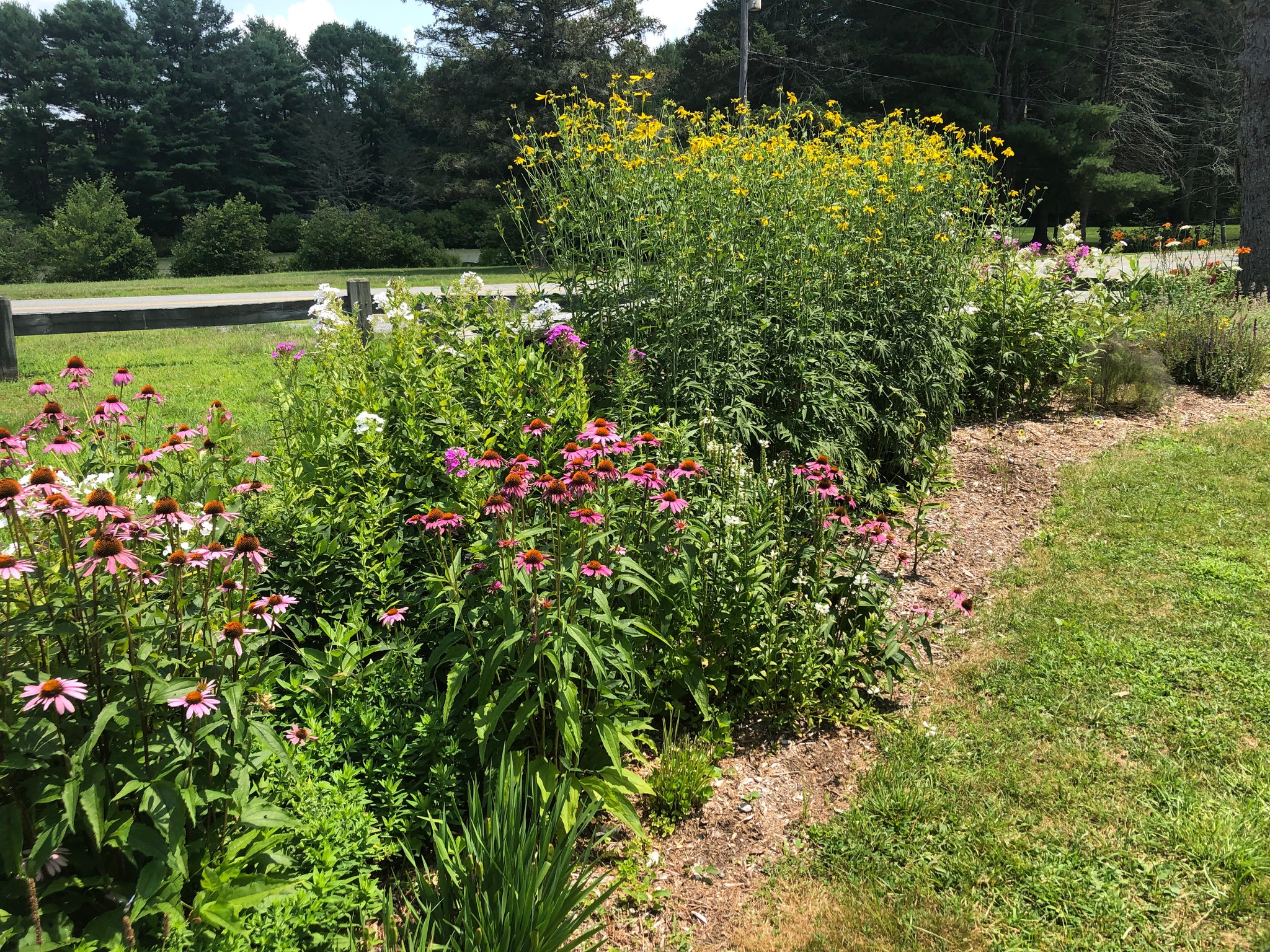 NEW! - The Edible Landscape: Integrating Food into Your Existing Flower Beds