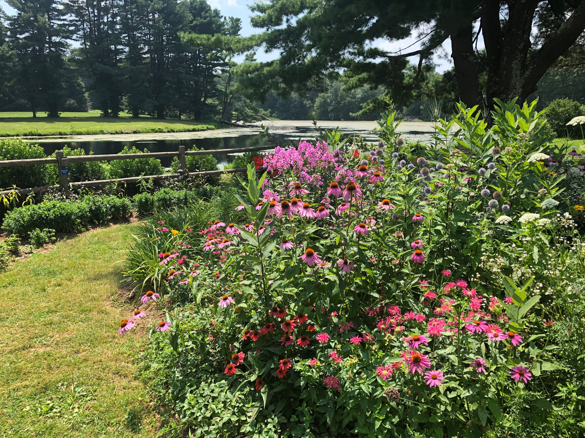 NEW! - The Edible Landscape: Integrating Food into Your Existing Flower Beds