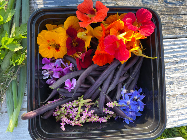 NEW! - The Edible Landscape: Integrating Food into Your Existing Flower Beds