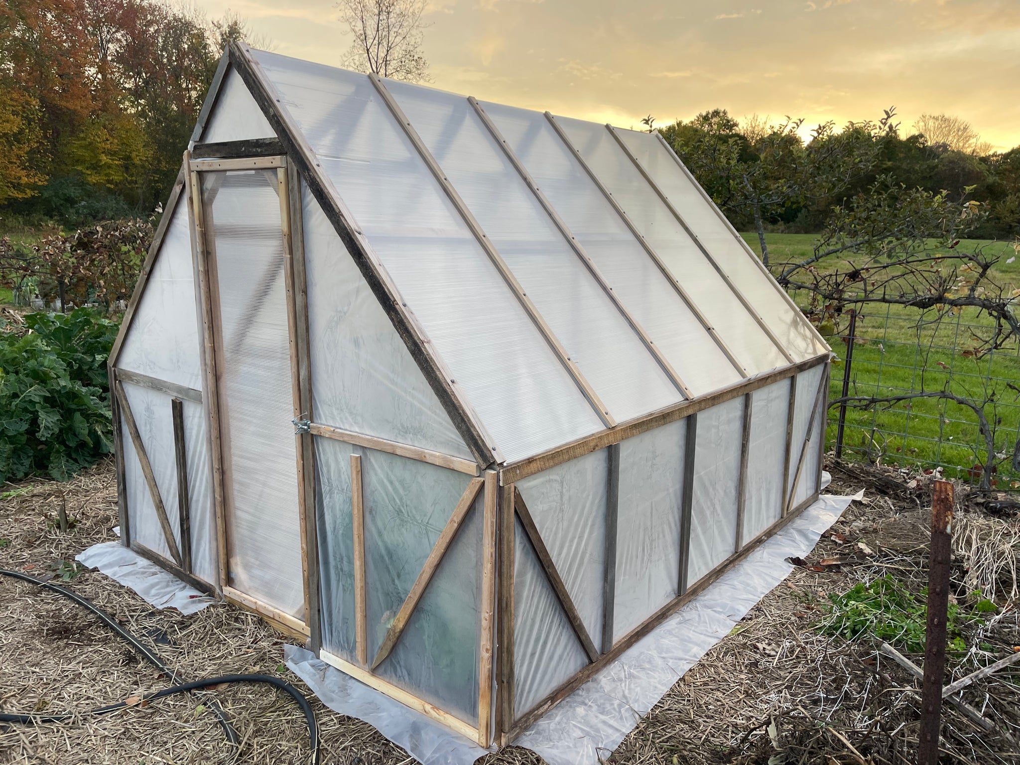 NEW! - Cold Frame Foundations: Build, Sow, and Grow Your Season