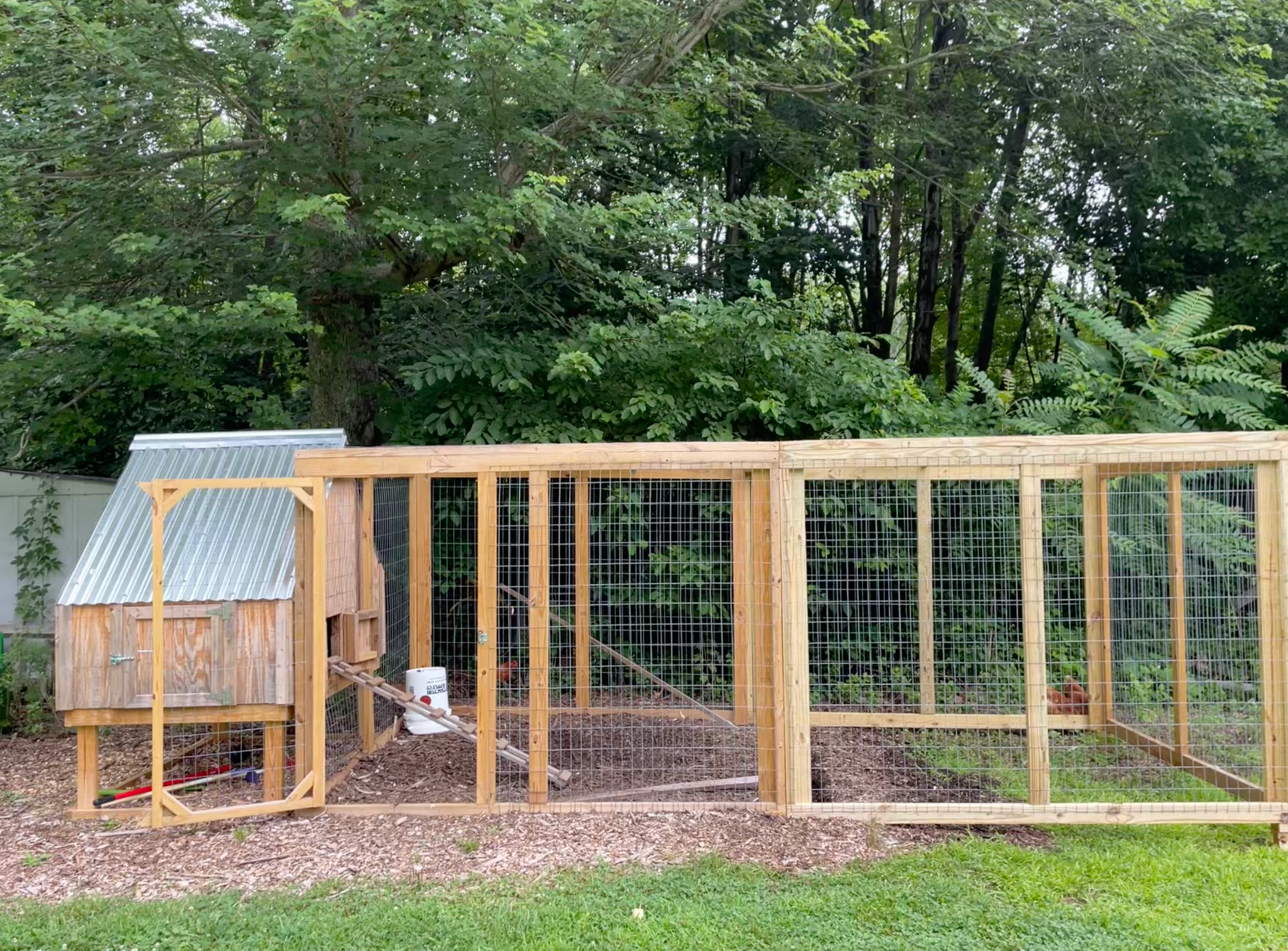 Framed Chicken Run Kits