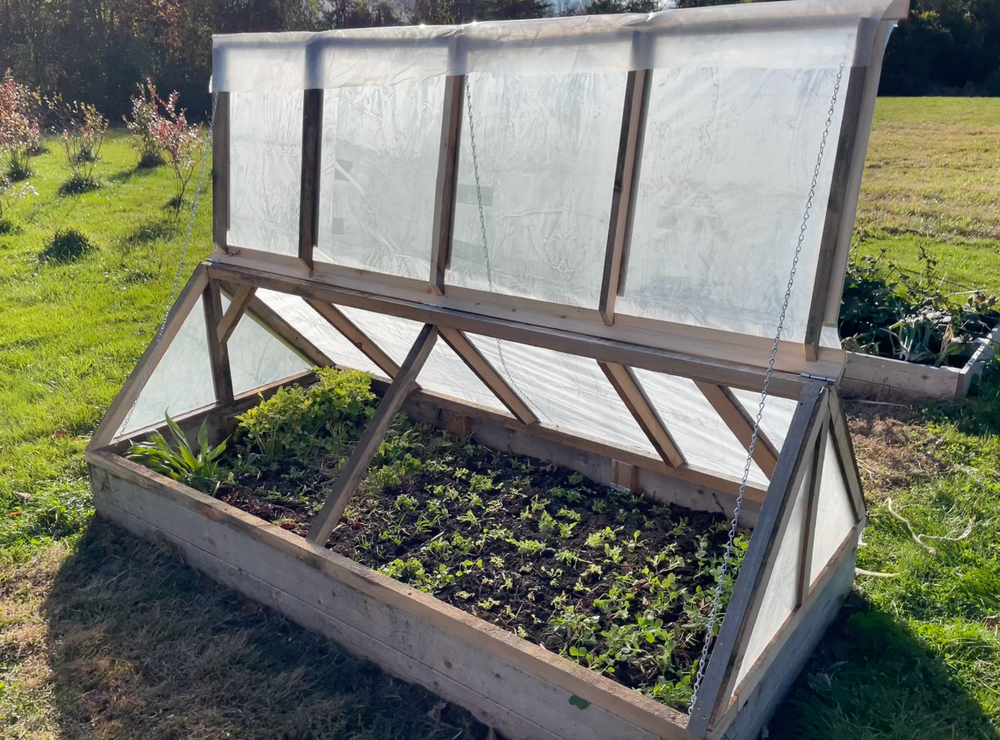 NEW! - Cold Frame Foundations: Build, Sow, and Grow Your Season