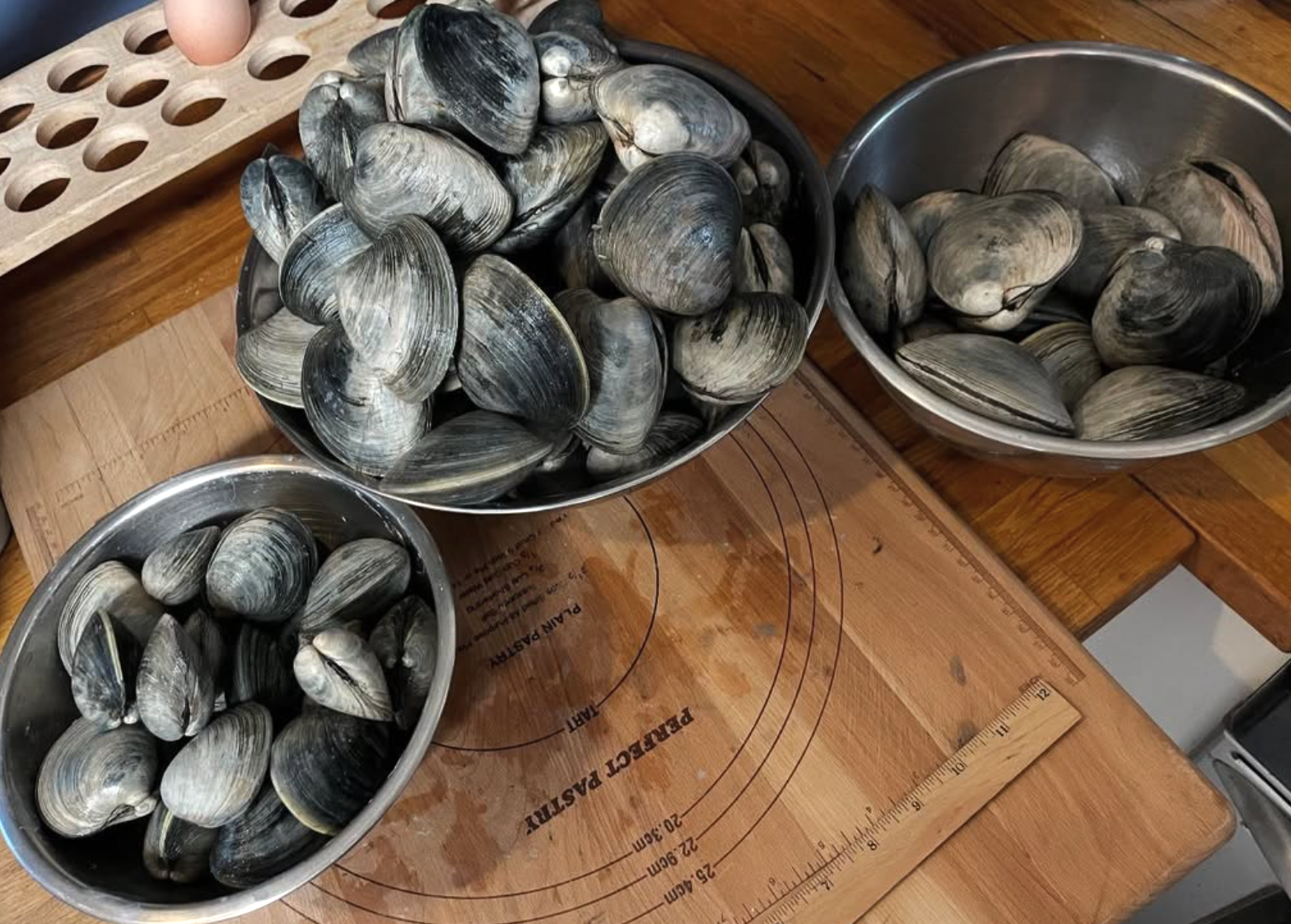 NEW! - Beat the Grocery Bill: Cooking Sales, Scraps, and Bones into Healthy Broths and Soups