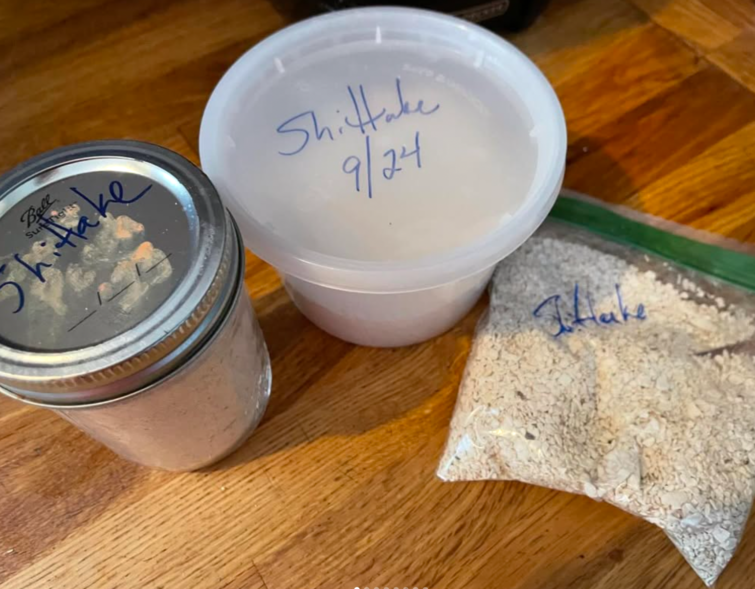 NEW! - Beat the Grocery Bill: Cooking Sales, Scraps, and Bones into Healthy Broths and Soups