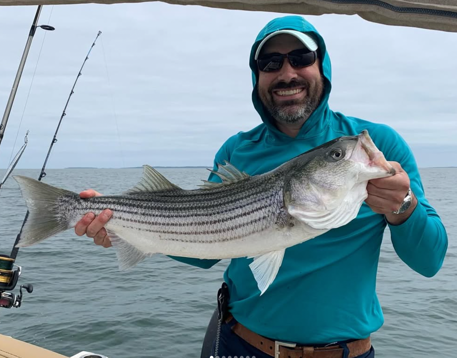 NEW! - Beat the Grocery Bill: Cooking Sales, Scraps, and Bones into Healthy Broths and Soups