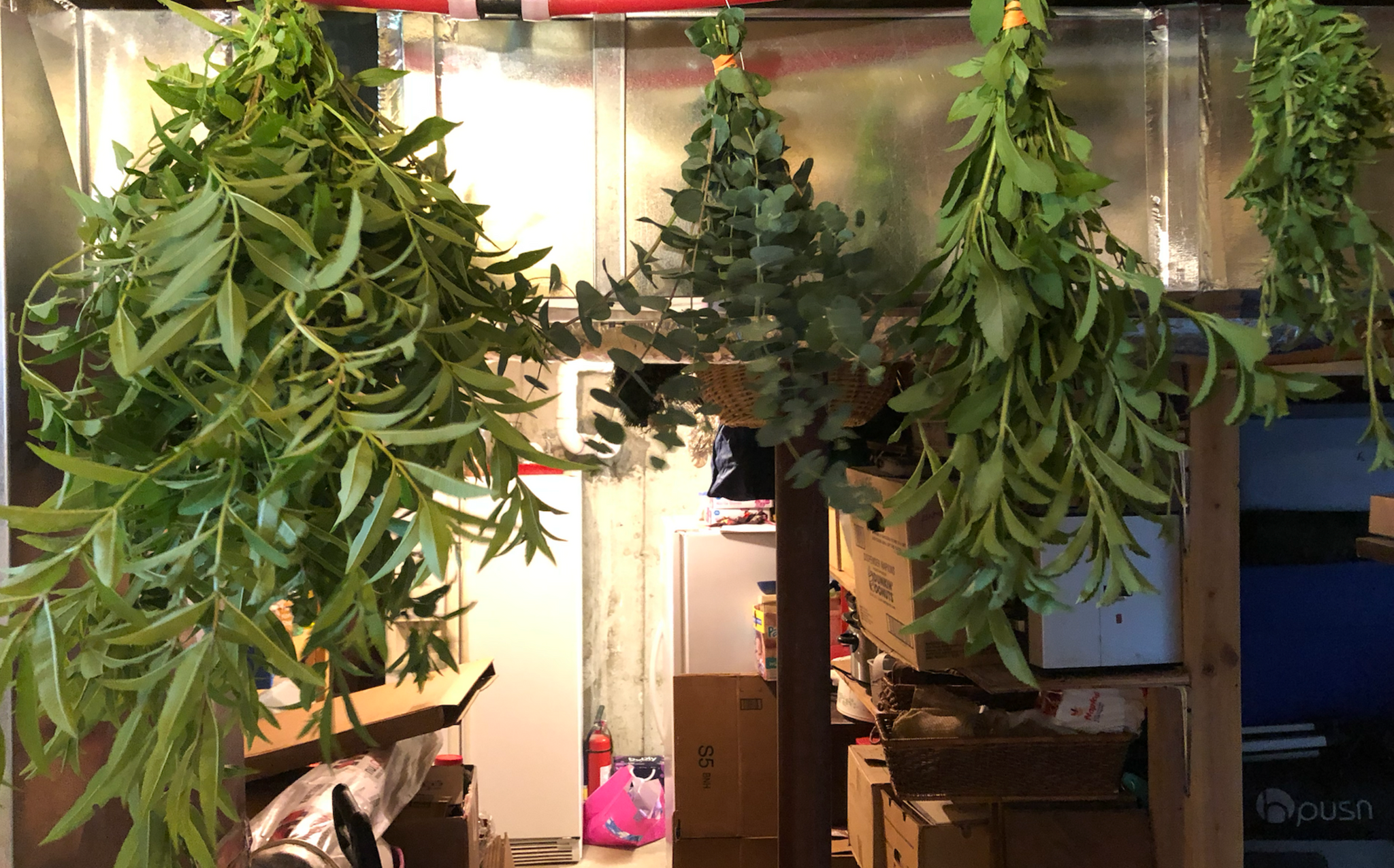 NEW! - The Community Seed Bank: How to Save, Store, and Share Your Harvest