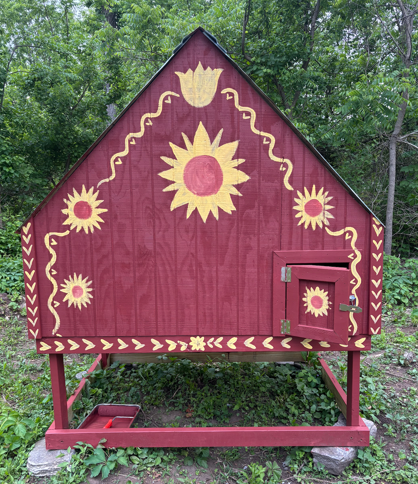 The Cape - Chicken Coop