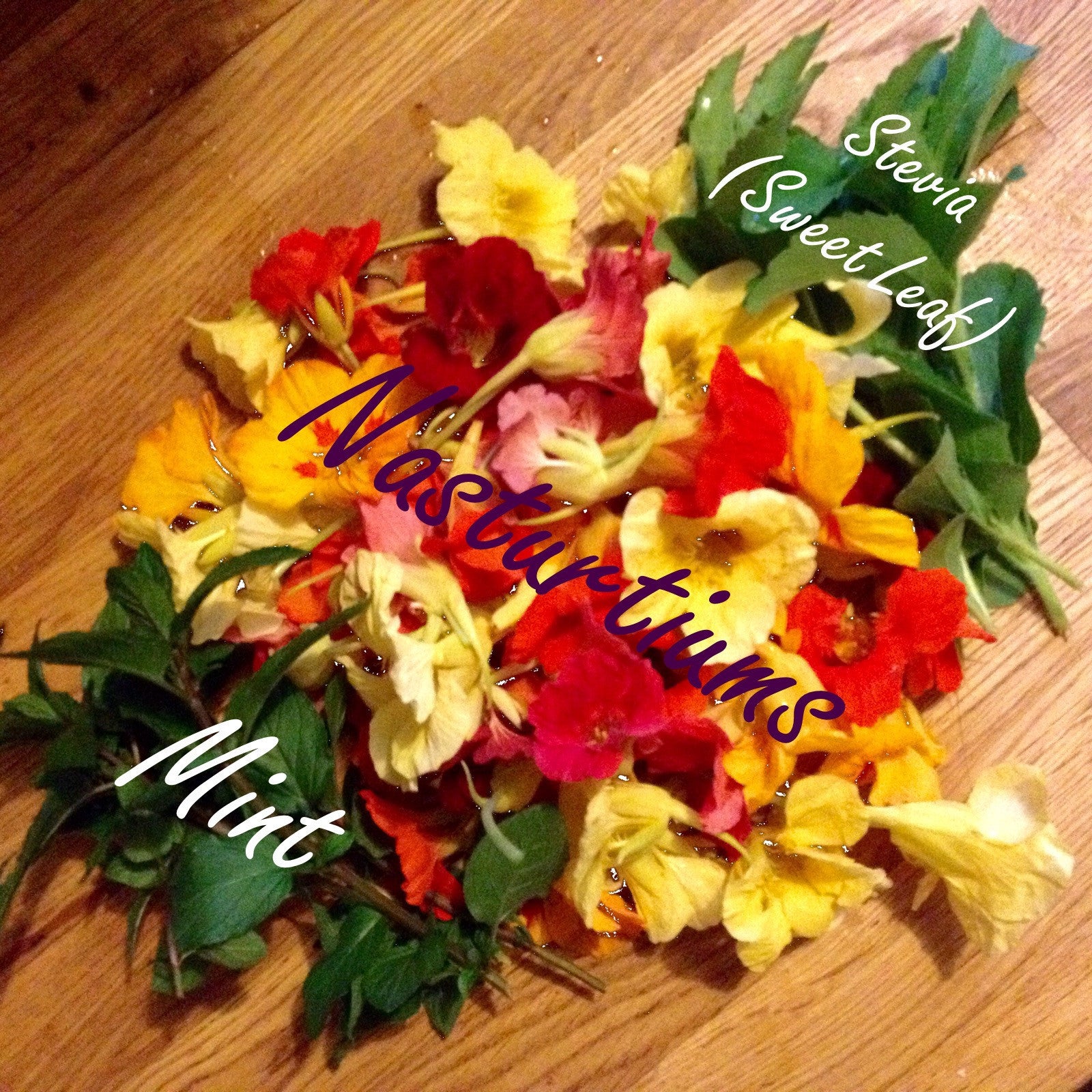 NEW! - The Edible Landscape: Integrating Food into Your Existing Flower Beds