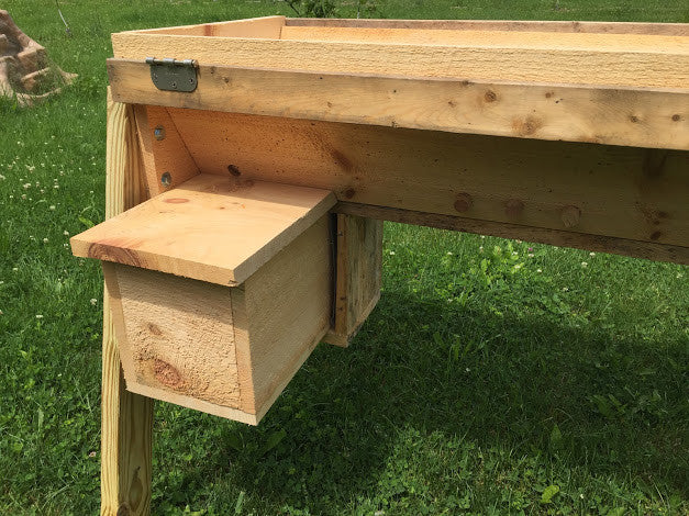 Nuc Up - Transfer 5 Frame Langstroth Nuc to Top Bar Hive