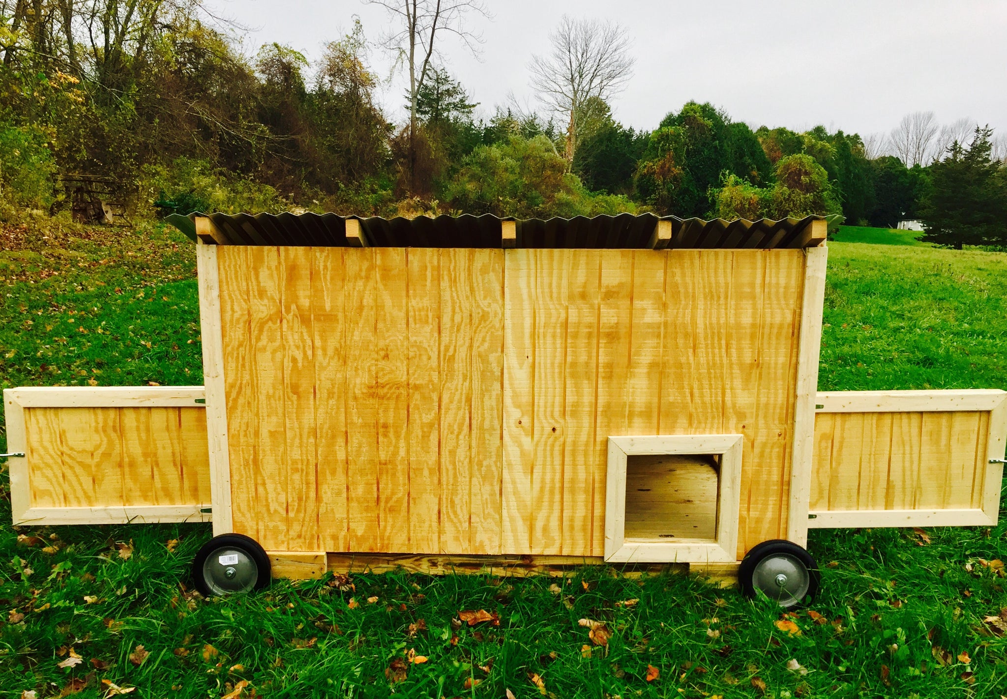 Waterfowl Coop (for Ducks and Geese)