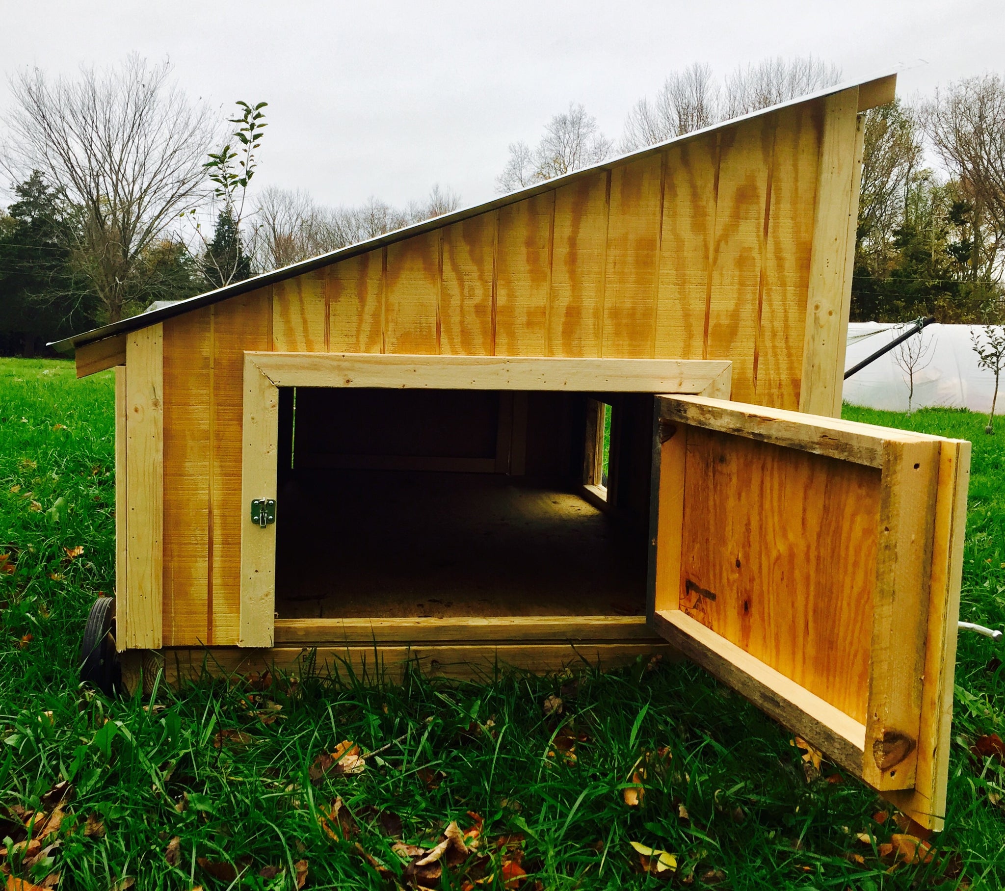 Waterfowl Coop (for Ducks and Geese)