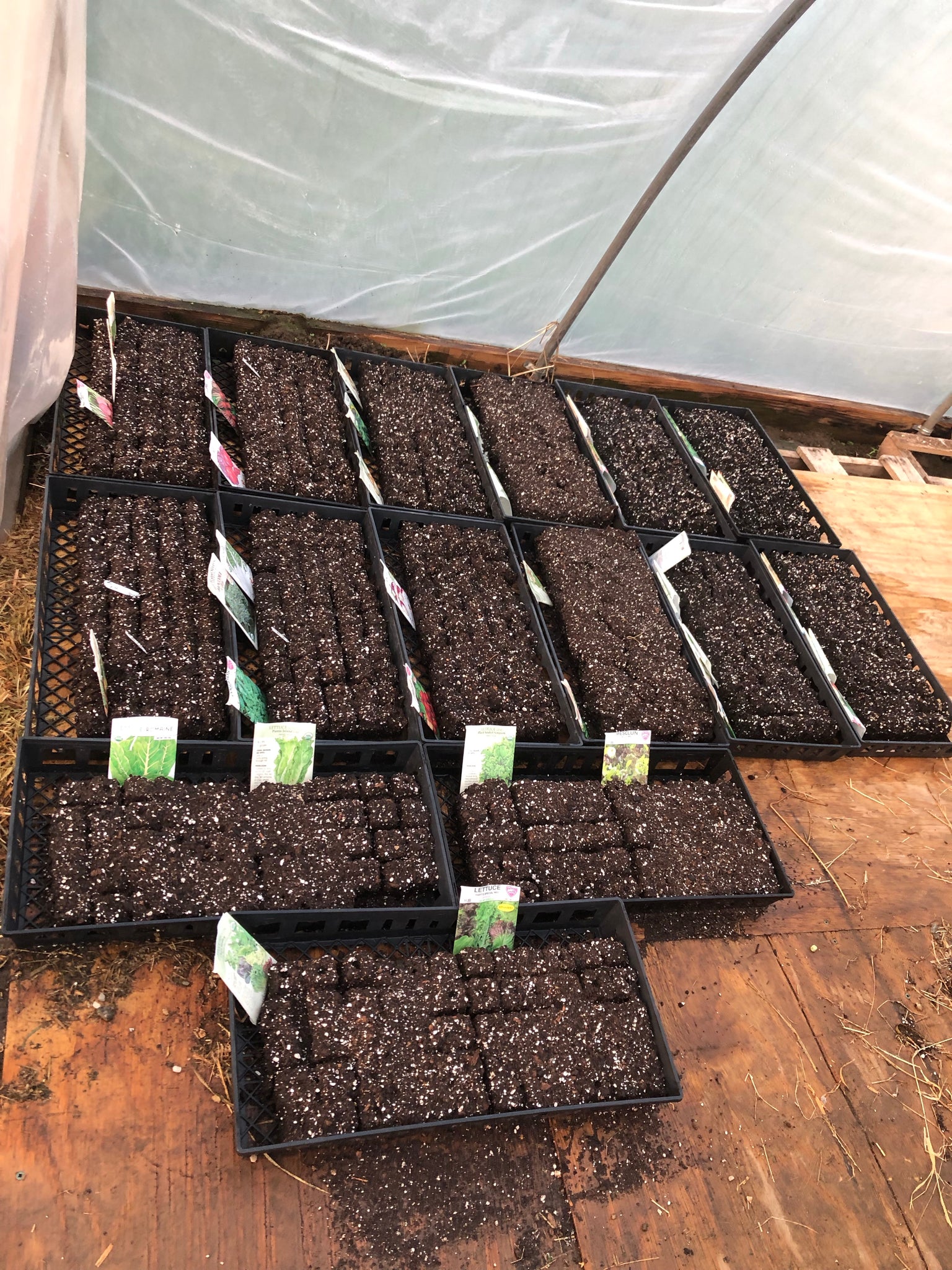 Private Event Only - Soil Blocks: How to create & manage seedlings & cuttings in soil blocks