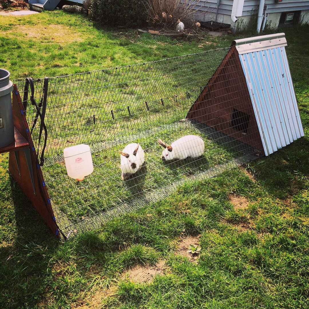 Pasture Tractor - Rabbit & Chicken 3 season portable shelter