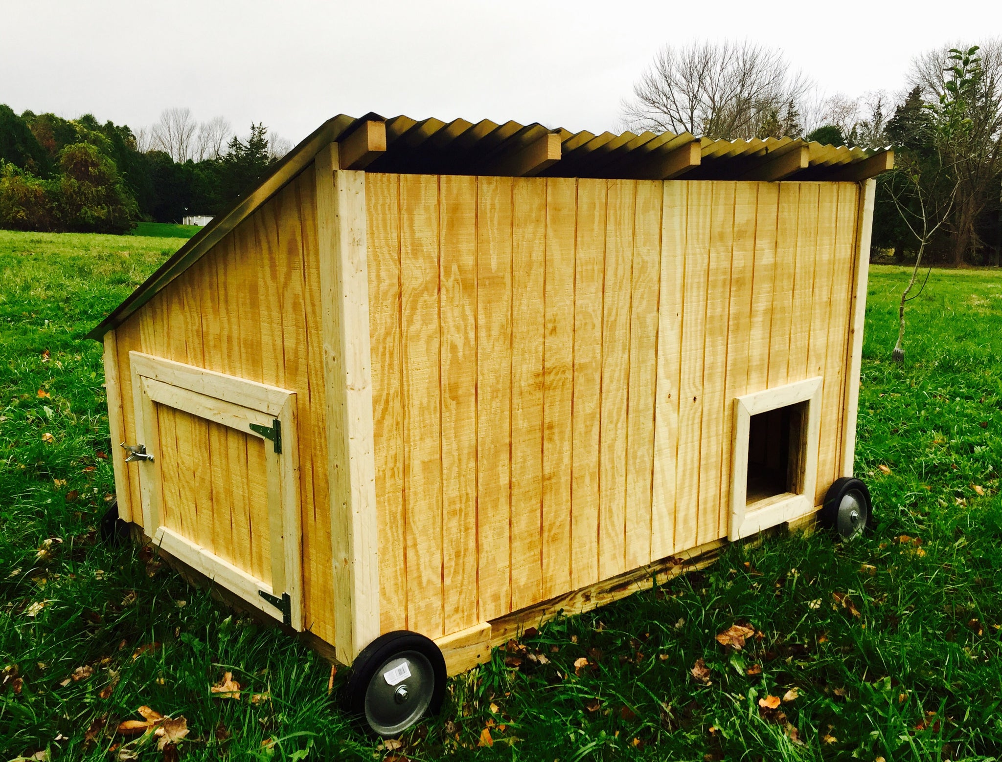 Waterfowl Coop (for Ducks and Geese)