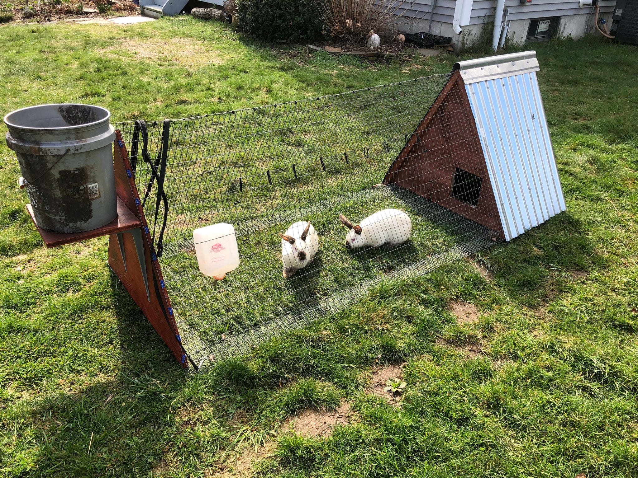 Rabbit Breeders’ Bundle - 3 Hutches & 2 Tractors