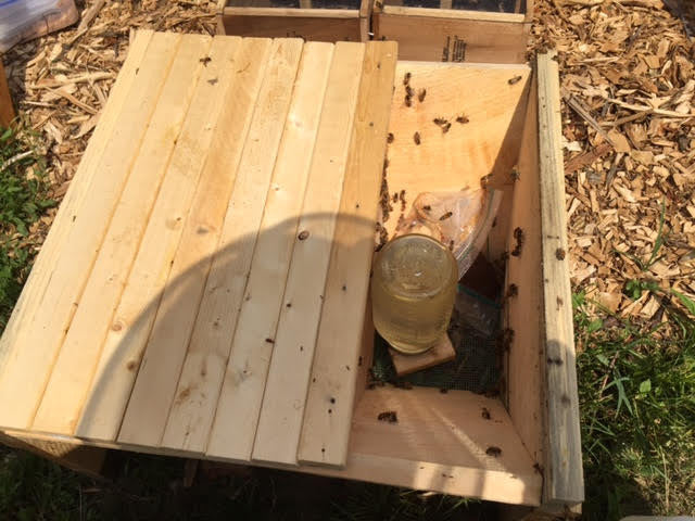 Nuc Box, Bait Hive, Swarm Trap